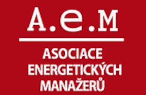 AEM logo